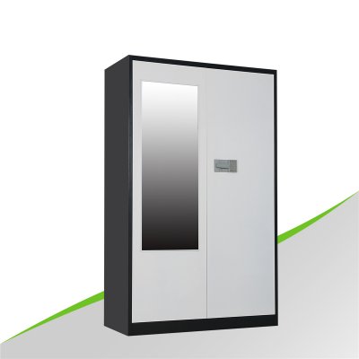 Electronic Coded Lock Metal Wardrobe