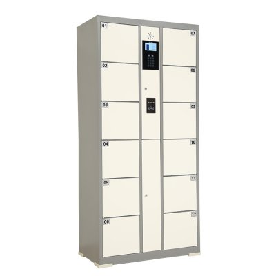  IC card system electronic smart locker /cabinet
