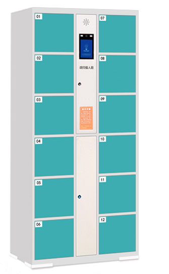 Face system for smart storage l